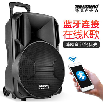 特美聲（TEMEISHENG） A8-35 音箱/音響 【12英寸】A12-35雙麥版2個(gè)話筒