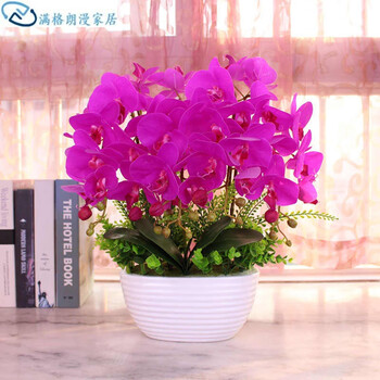 精致花瓶，裝點(diǎn)你的文藝生活