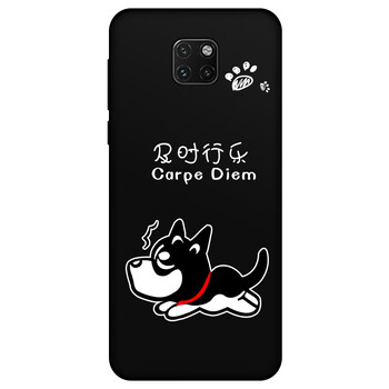 華為新款mate20