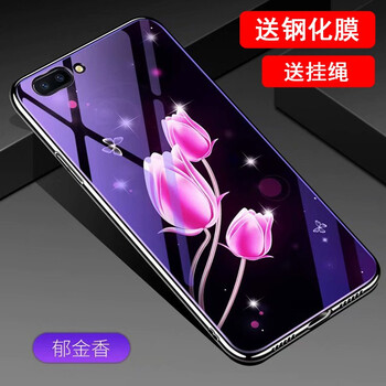 羅璐鷗 oppo r11 手機(jī)殼/保護(hù)套