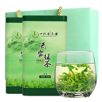 綠茶茶葉新茶春茶
