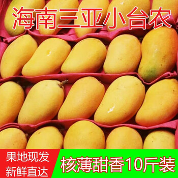 С̨ũ����â
