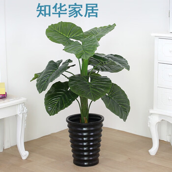 唯美玻璃花瓶，讓你的家四季如春