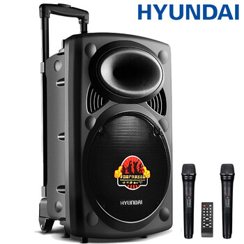 HYUNDAI  音箱/音響 12英寸雙麥克風(fēng)版