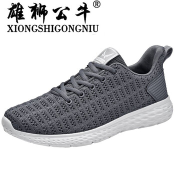 雄獅公牛（XIONGSHIGONGNIU）男士6836灰色 40