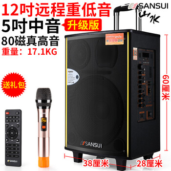 山水（SANSUI）  音箱/音響 12吋升級(jí)版（1支U段話筒+遙控）