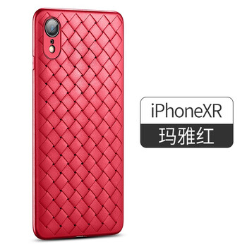 bv皮女包