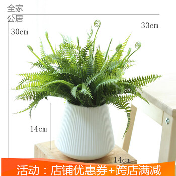 精致花瓶點(diǎn)綴，讓生活不再單調(diào)