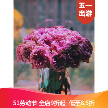北歐風(fēng)花瓶，打造精致生活的藝術(shù)