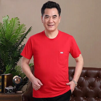 晟易升 短袖 男士T恤 圓領(lǐng) 紅色 
