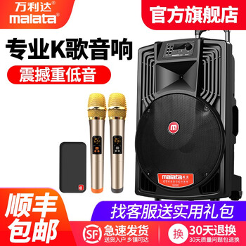 大功率演出音箱