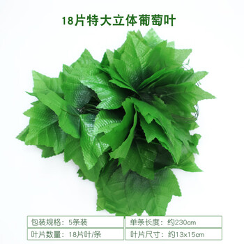 復(fù)古玻璃花瓶，讓你的家煥然一新