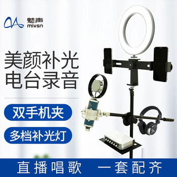 魅聲 T8-6-320 懸掛式 麥克風(fēng) 藍(lán)色（帶落地支架）