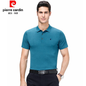 皮爾卡丹（pierrecardin） 短袖 男士T恤 湖水藍 