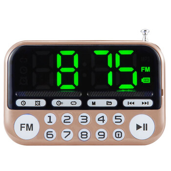 音容 6683 音箱/音響 超長版金+8G卡4000首+目錄本+耳機+充電器