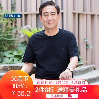 雷迪倫（leidilun） 短袖 男士T恤 烏蘭 