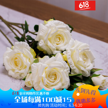 說(shuō)創(chuàng  )意花瓶，讓你的家更浪漫