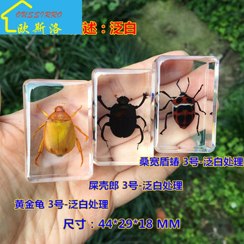 輕奢陶瓷擺件，讓生活更溫馨