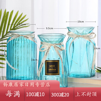 玻璃花瓶，讓你的家變得不再單調(diào)