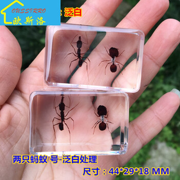 輕奢陶瓷擺件，讓生活更溫馨