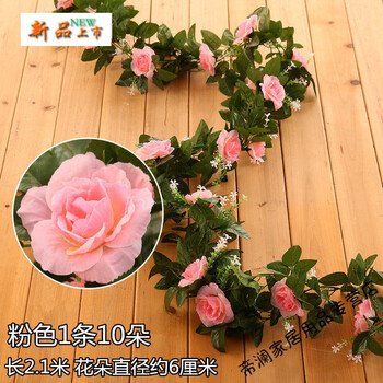 女生喜愛的創(chuàng)意花瓶，提升幸福感