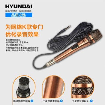 現(xiàn)代（HYUNDAI） HY-480D 音箱/音響 GB-628有線話筒