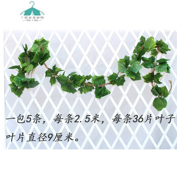 精美歐式花瓶，打造古典田園風(fēng)