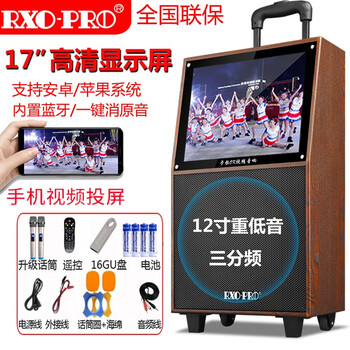睿奧普（RXO-PRO）  音箱/音響 17寸屏同屏版+話筒一對(duì)