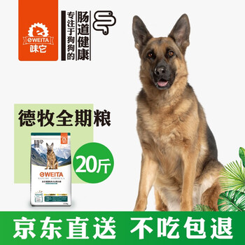 寵物德國牧羊犬