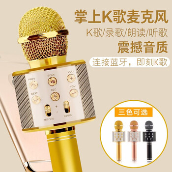 Leoisilence  手持 麥克風(fēng) 土豪金