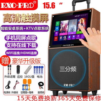 睿奧普（RXO-PRO）  音箱/音響 15寸屏網(wǎng)絡(luò)觸屏版+話筒一對(duì)