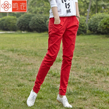 landi,排名,landi,褲排行榜,推薦