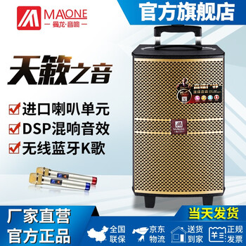 拉桿8寸電瓶音箱
