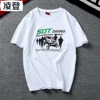 凌登（LingDeng） 短袖 男士T恤 短袖吉普車(chē)白色 