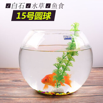 有了的創(chuàng  )意擺件，讓你愛(ài)上生活