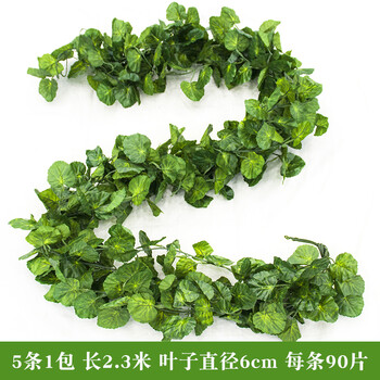 創(chuàng)意花瓶，讓你的家變得更浪漫