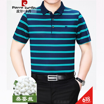 皮爾卡丹（pierrecardin） 短袖 男士T恤 081995802深蘭+新綠 