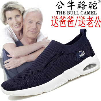 公牛駱駝（THE BULL CAMEL）男士G901藍色 41