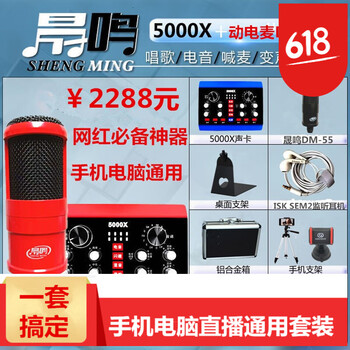 晟鳴  手持 麥克風 聲卡（帶線）+晟鳴DM-55動電麥套裝