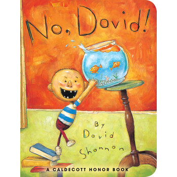 no david