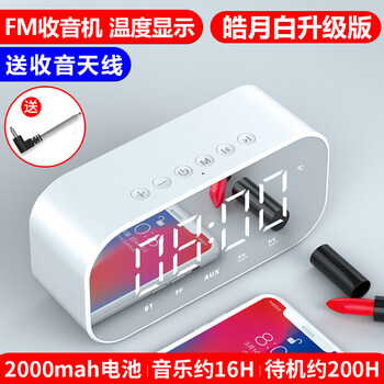 亨派（HAPOW） H8 音箱/音響 皓月白升級(jí)版