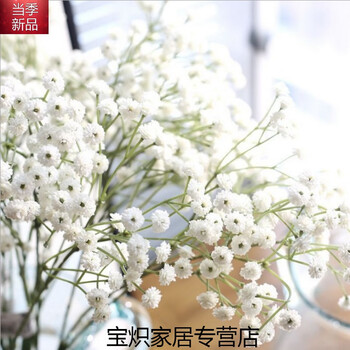 簡約花瓶，讓你的家變成藝術(shù)美人