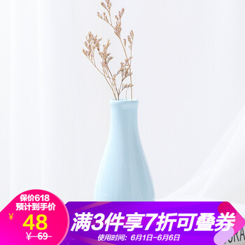 精美創(chuàng)意花瓶，打造浪漫田園風(fēng)