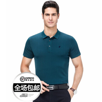 皮爾卡丹（pierrecardin） 短袖 男士T恤 哈青色916 
