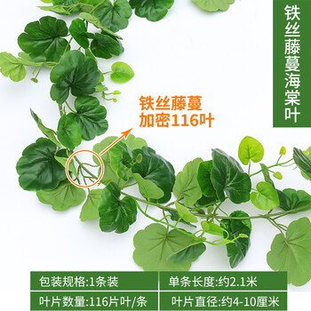 仿真,仿真,怎么樣,室內(nèi),室內(nèi),水果,水果