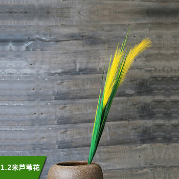 精致花瓶點(diǎn)綴，讓生活不再單調(diào)
