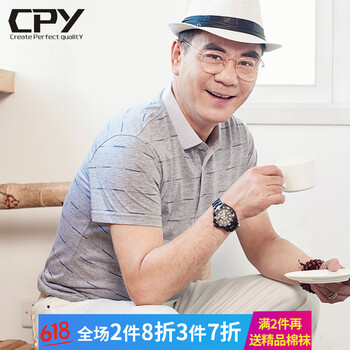 CPY 短袖 男士T恤 2761灰色 