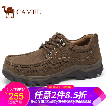 駱駝（CAMEL）男士咖啡 38