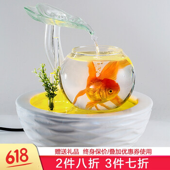 養(yǎng)金魚魚缸