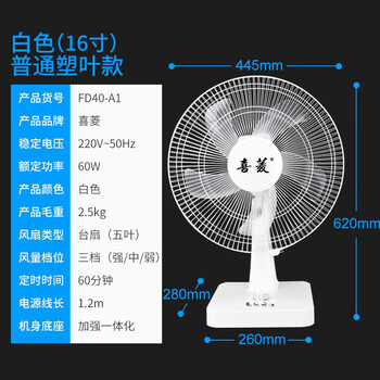 豪華風(fēng)扇